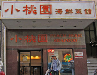 Peach Farm 小桃园